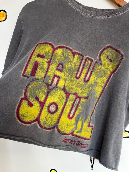 Vintage James Brown Cropped Concert Tee | Raw Soul Cut-Off T-Shirt S/M