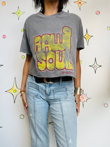 Vintage James Brown Cropped Concert Tee | Raw Soul Cut-Off T-Shirt S/M