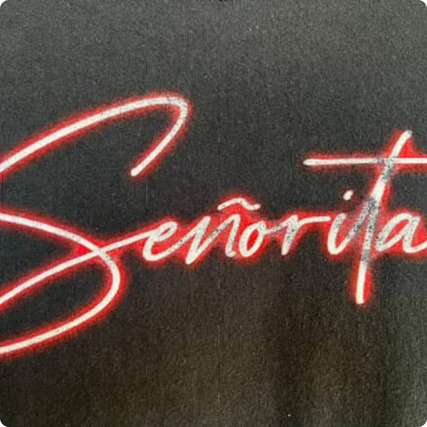 90s Y2K | Seniorita Graphic Tee T Shirt | Size M