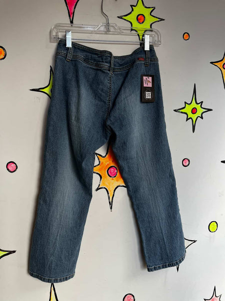 Vintage Y2K Stretch Denim Capri Pants | Low Rise Jeans | Fairy Grunge | Size 5