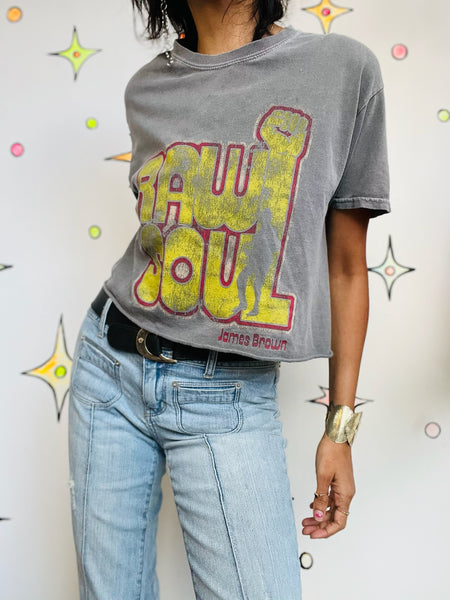 Vintage James Brown Cropped Concert Tee | Raw Soul Cut-Off T-Shirt S/M