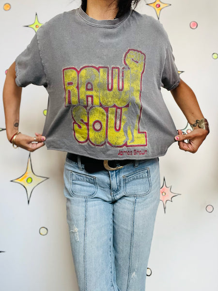 Vintage James Brown Cropped Concert Tee | Raw Soul Cut-Off T-Shirt S/M