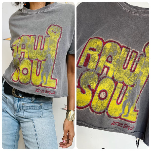 Vintage James Brown Cropped Concert Tee | Raw Soul Cut-Off T-Shirt S/M