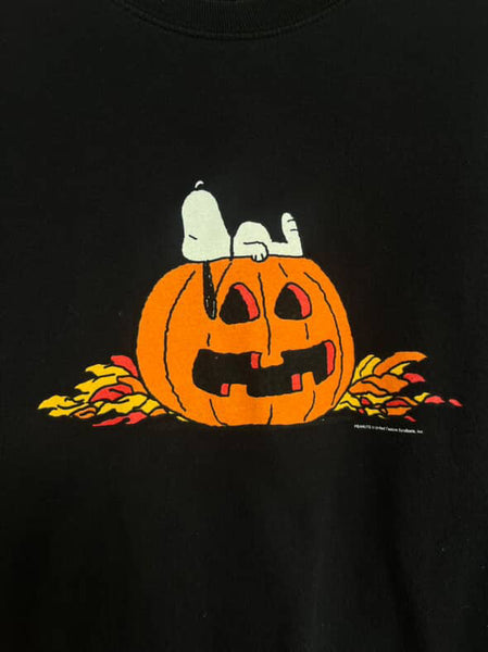 Y2K Snoopy Spooky Season Snoopy Pumpkin T Shirt Graphic Halloween Tee LXL