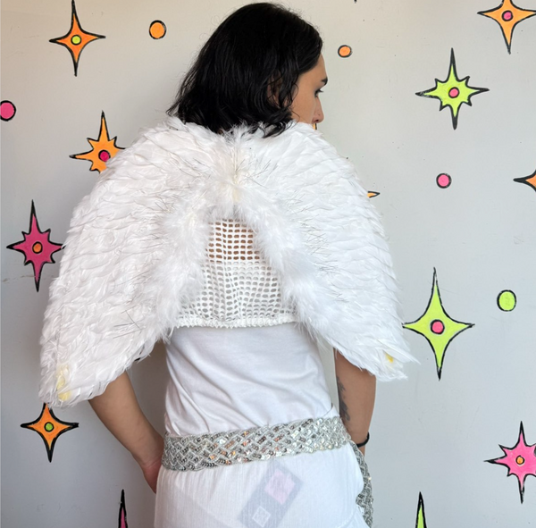 Angel Wings Halloween Costume Romeo & Juliet Pin Up Cosplay Fairy Goth Wings
