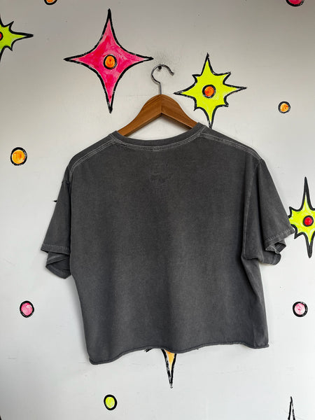 Vintage James Brown Cropped Concert Tee | Raw Soul Cut-Off T-Shirt S/M